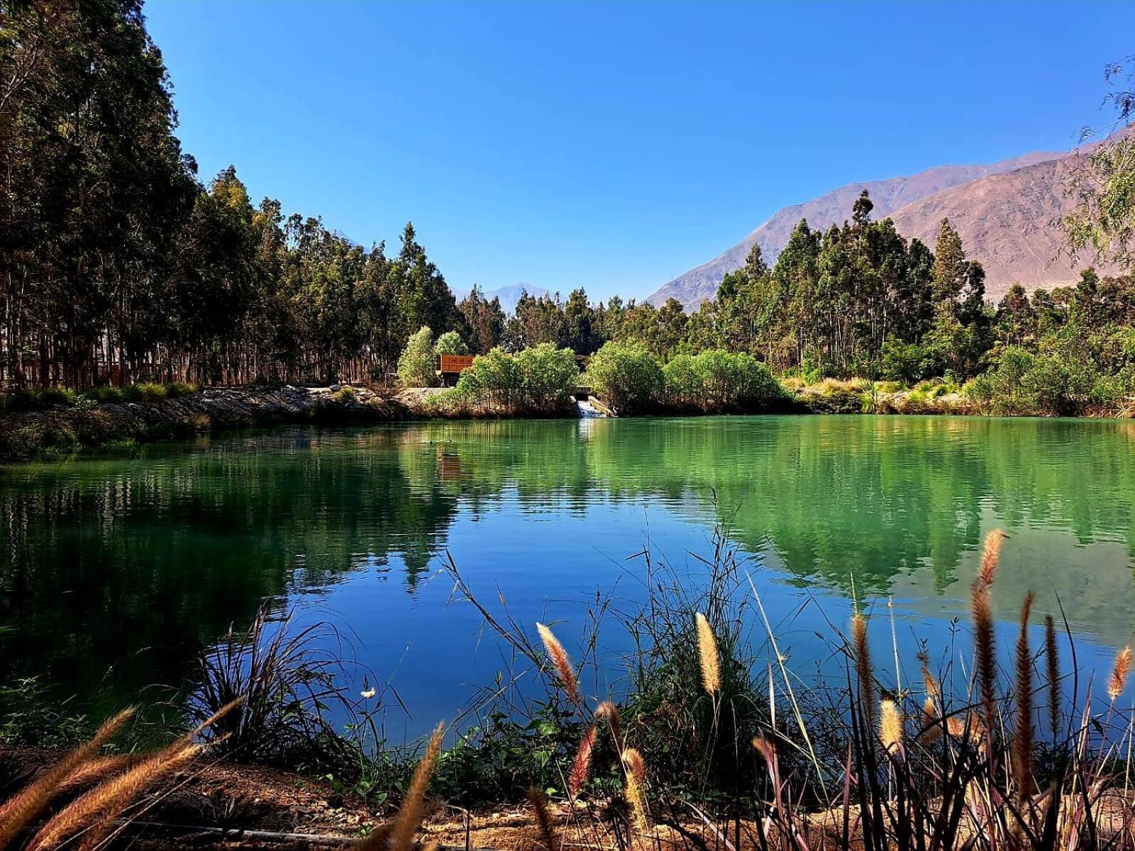 Guizado Portillo Hacienda & Resort Lunahuana Bagian luar foto