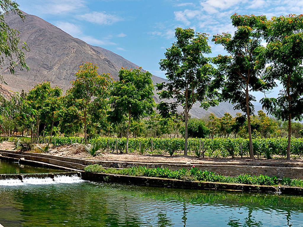 Guizado Portillo Hacienda & Resort Lunahuana Bagian luar foto